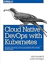 Cloud Native Devops with Kubernetes by John Arundel