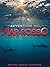 Avventure nel Mar Rosso: Br...
