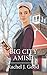 Big City Amish