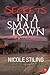 Secrets in a Small Town