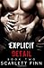 Explicit Detail (Explicit, #2)