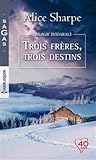 Trois frères, trois destins: Un troublant visiteur - Un refuge dans la tourmente - En proie au doute Trois frères, trois destins: Un troublant visiteur - Un refuge dans la tourmente - En proie au doute