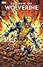 Return of Wolverine