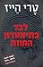לבד בתיאטרון המוות by Terry Hayes
