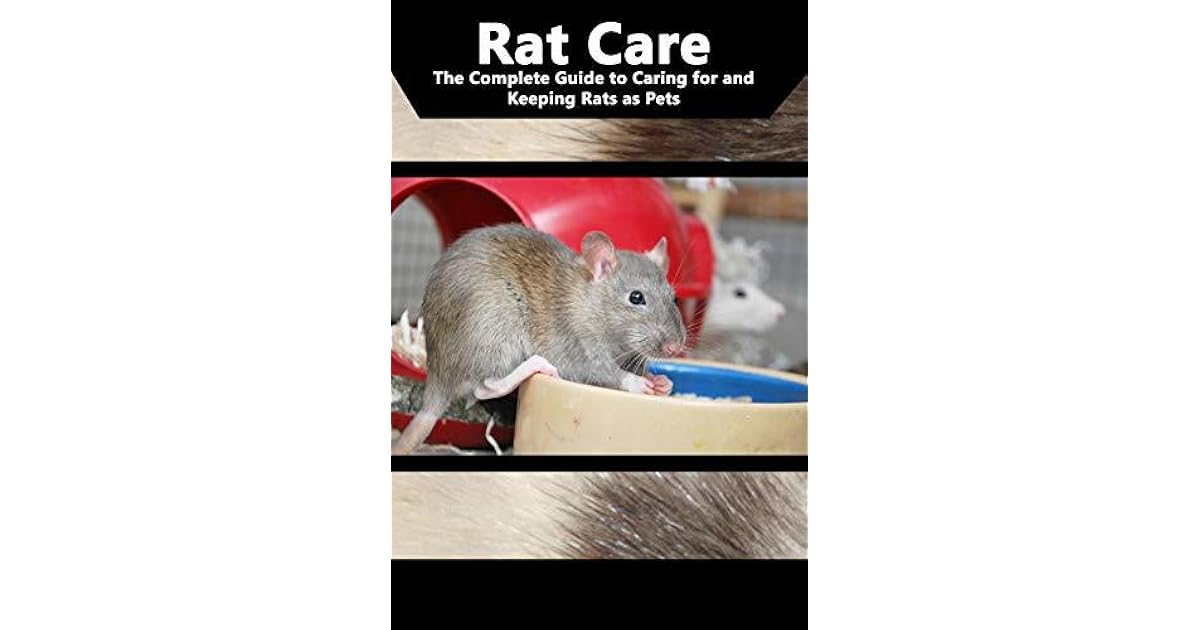 Rat Care The Complete Guide to Caring for and Keeping Rats as Pets by
