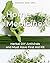 Home Medicine: Herbal DIY A...