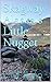 Skagway: Alaska's Little Nu...