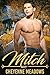 Mitch (Misfit Shifters #1)