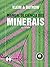 Manual de Ciência dos Minerais