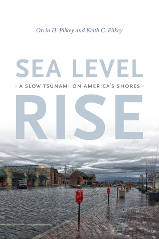 Sea Level Rise: A Slow Tsunami on America's Shores (Hardcover)
