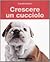 Crescere un cucciolo: la strada più semplice per avere un cane felice e ubbidiente