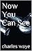 Now You Can See by charles waye