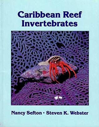 A Field Guide to Caribbean Reef Invertebrates: A Special Publication of the Monterey Bay Aquarium Foundation