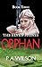 The Elven Stones: Orphan: An Elven Quest Adventure (The Cartref Sagas Book 7)