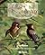 Guide des oiseaux saison.. ...