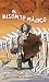 El bisonte mágico