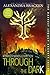Through the Dark (The Darkest Minds, #1.5, #2.5, #3.5) by Alexandra Bracken