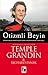 Otizmli Beyin