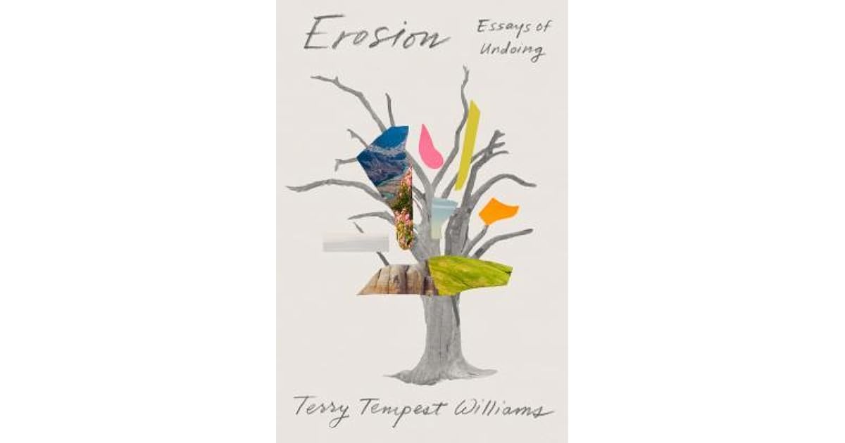 Erosion: Essays of Undoing by Terry Tempest Williams