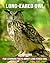 Fun Learning Facts about Long-Eared Owl by Larry Gibbs