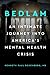 Bedlam: An Intimate Journey Into America's Mental Health Crisis