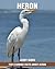Fun Learning Facts about Heron
