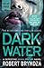 Dark Water (Detective Erika Foster, #3)