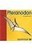 Pteranodon