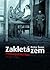 Zakletá zem - Podkarpatská Rus 1918 - 1946 by Peter Švorc