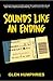 Sounds Like An Ending by Glen Humphries