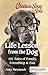 Chicken Soup for the Soul: Life Lessons from the Dog: 101 Tales of Family, Friendship & Fun