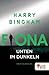 Fiona by Harry Bingham