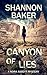 Canyon of Lies (Nora Abbott...