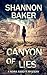Canyon of Lies (Nora Abbott, #3)