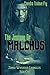 The Journey of Malchus (Zombie Whisperer Chronicles)