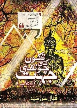 Tikon Ki Chothi Jehat / تکون کی چوتھی جہت: دو ناولٹ