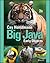 Big Java