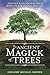 The Ancient Magick of Trees by Gregory Michael Brewer