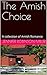 The Amish Choice by Jennifer Robinson-Miller