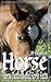 Horse: Horse Pictures and H...