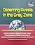 Deterring Russia in the Gray Zone - Audacious Perspective Arguing for Holistic Strategy Using Instruments of National Power Across the Diplomacy, Information, Military and Economic (DIME) Model