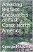 Amazing Bigfoot Encounters of East Coast North America