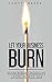 Let Your Business Burn: Stop Putting Out Fires, Discover Purpose, And Build A Business That Matters