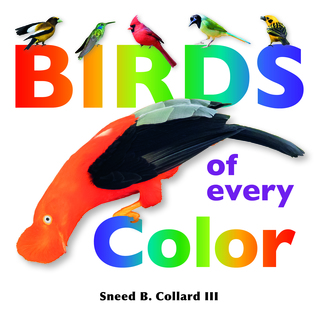 Birds of Every Color (Hardcover)