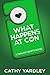 What Happens at Con (Fandom Hearts, #4)