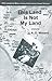 This Land Is Not My Land by A.D. Winans