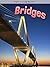 Bridges (Engineering Wonders)