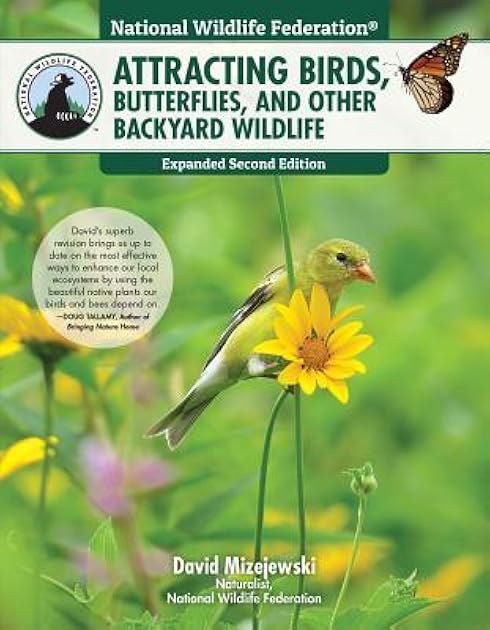 Attracting Birds, Butterflies, and Other Backyard Wildlife