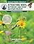 Attracting Birds, Butterflies, and Other Backyard Wildlife by David Mizejewski