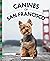 Canines of San Francisco